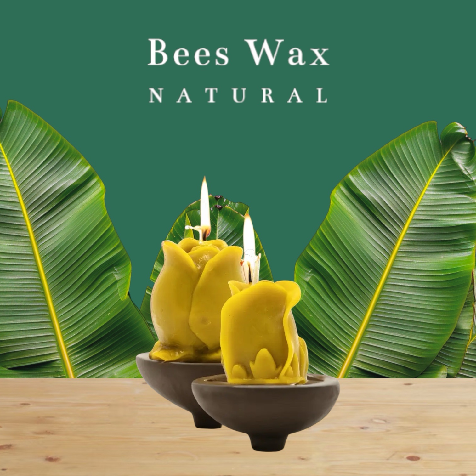 Gül Takım  Bal Mumu