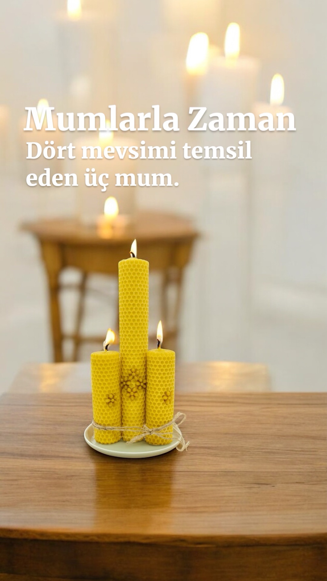 Balmumu Çift Sargı Çiçek Bahçesi 3’lü